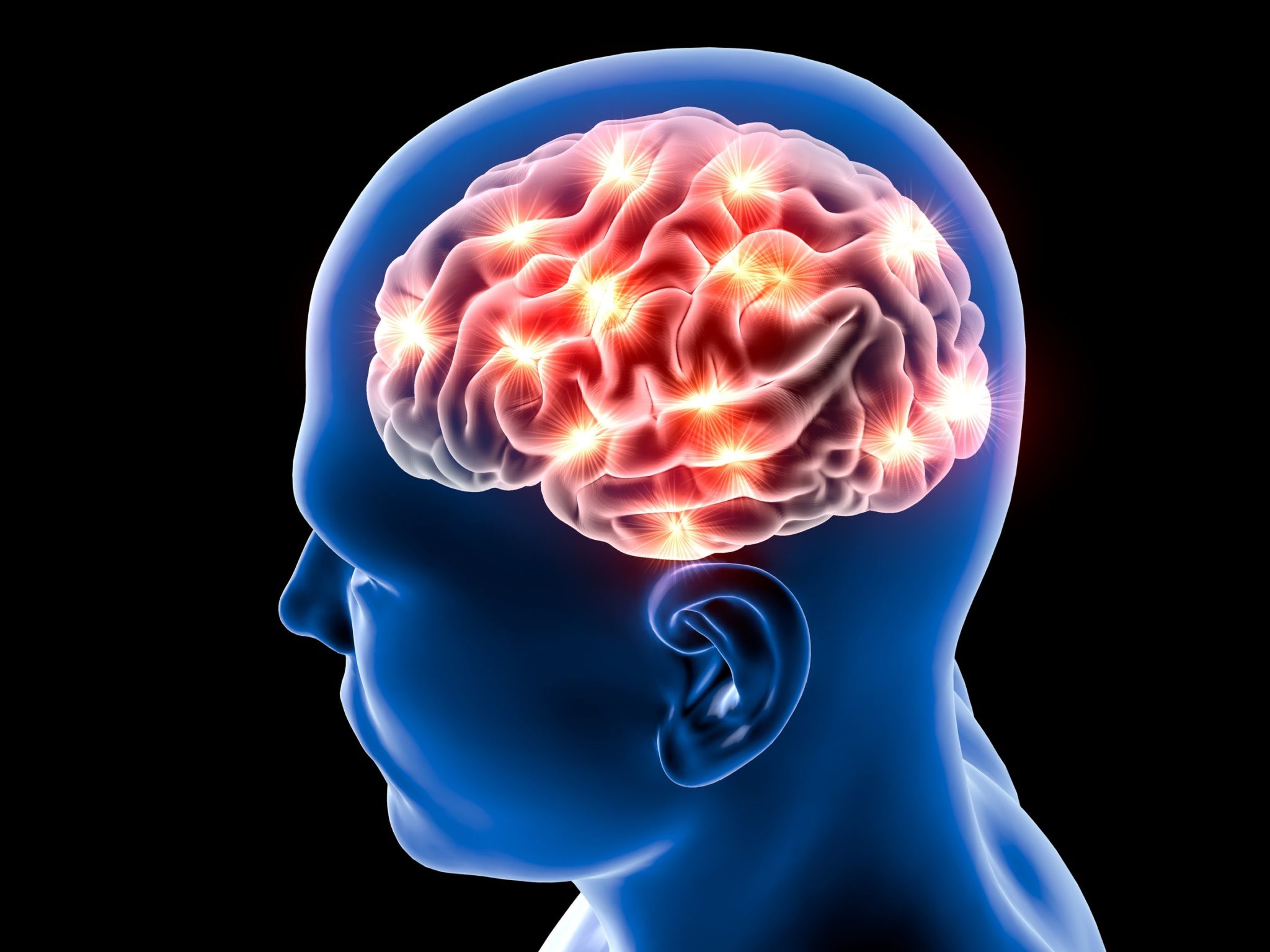 brain neurons synapse, anatomy body, head profile, disease